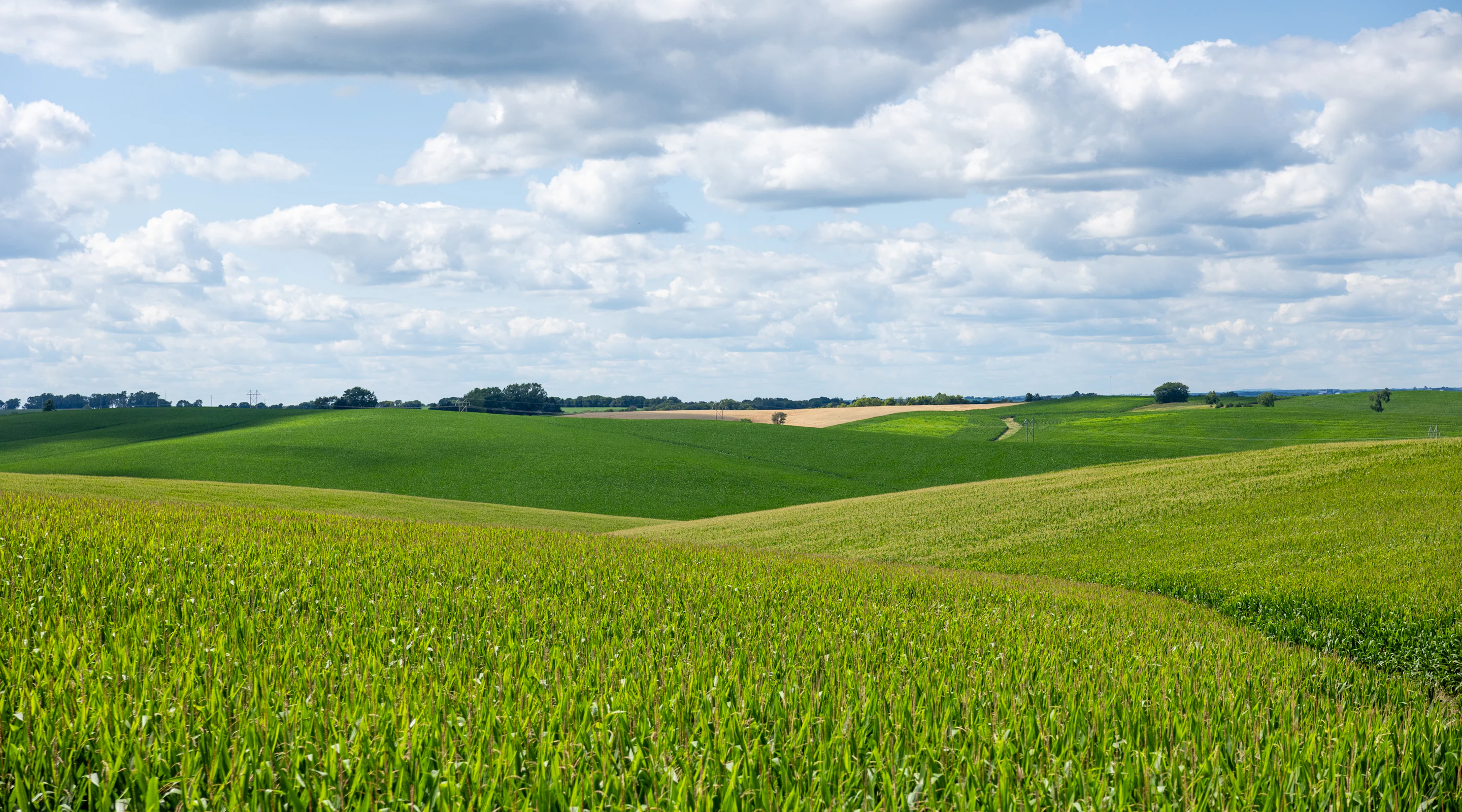 Nature-Based Agriculture Solutions | Sound Agriculture