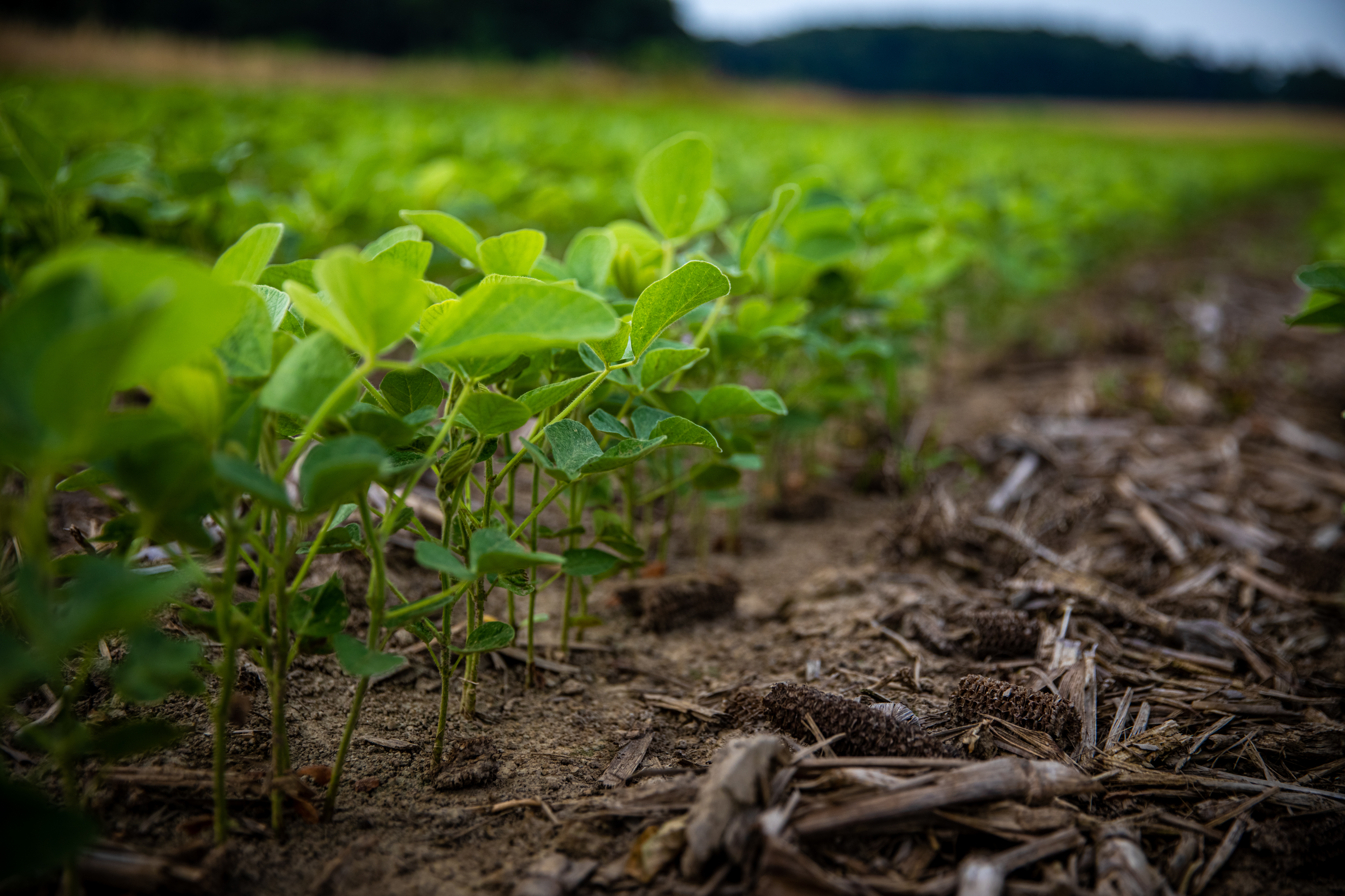 2022 0622 St MD LOO 0482