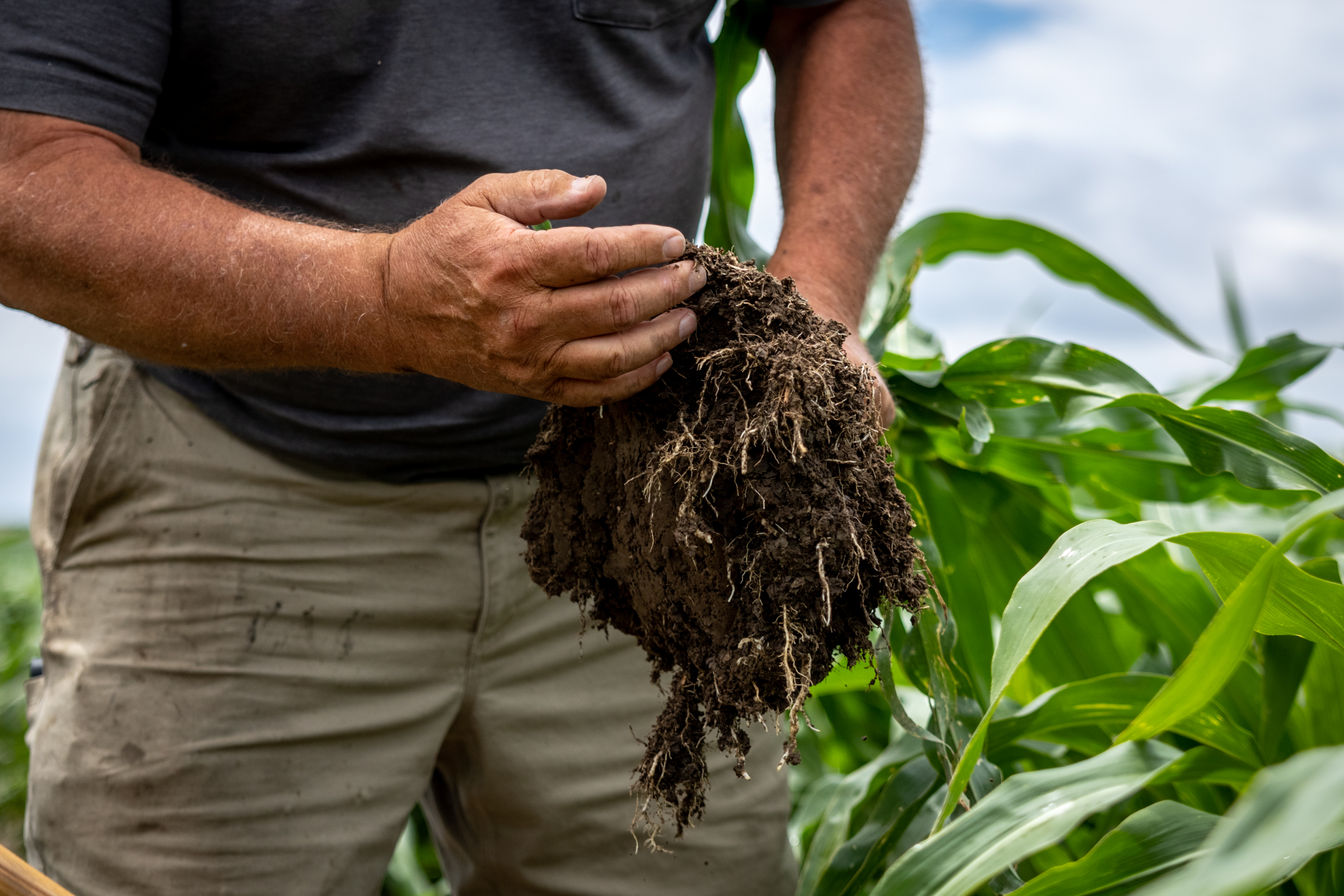 2022 07 06 St NB LOO 1333 2