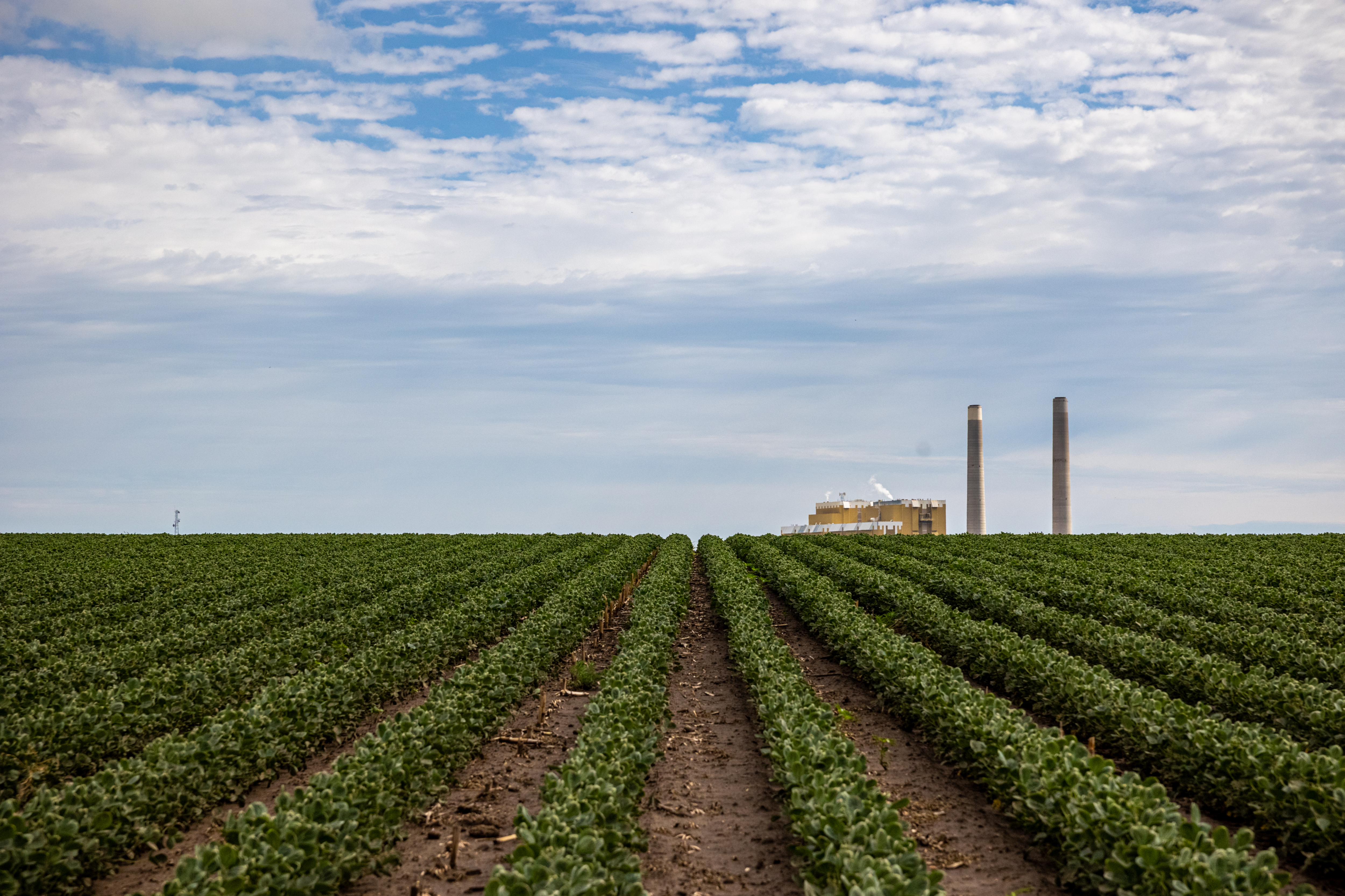 2022 07 06 St NB LOO 545