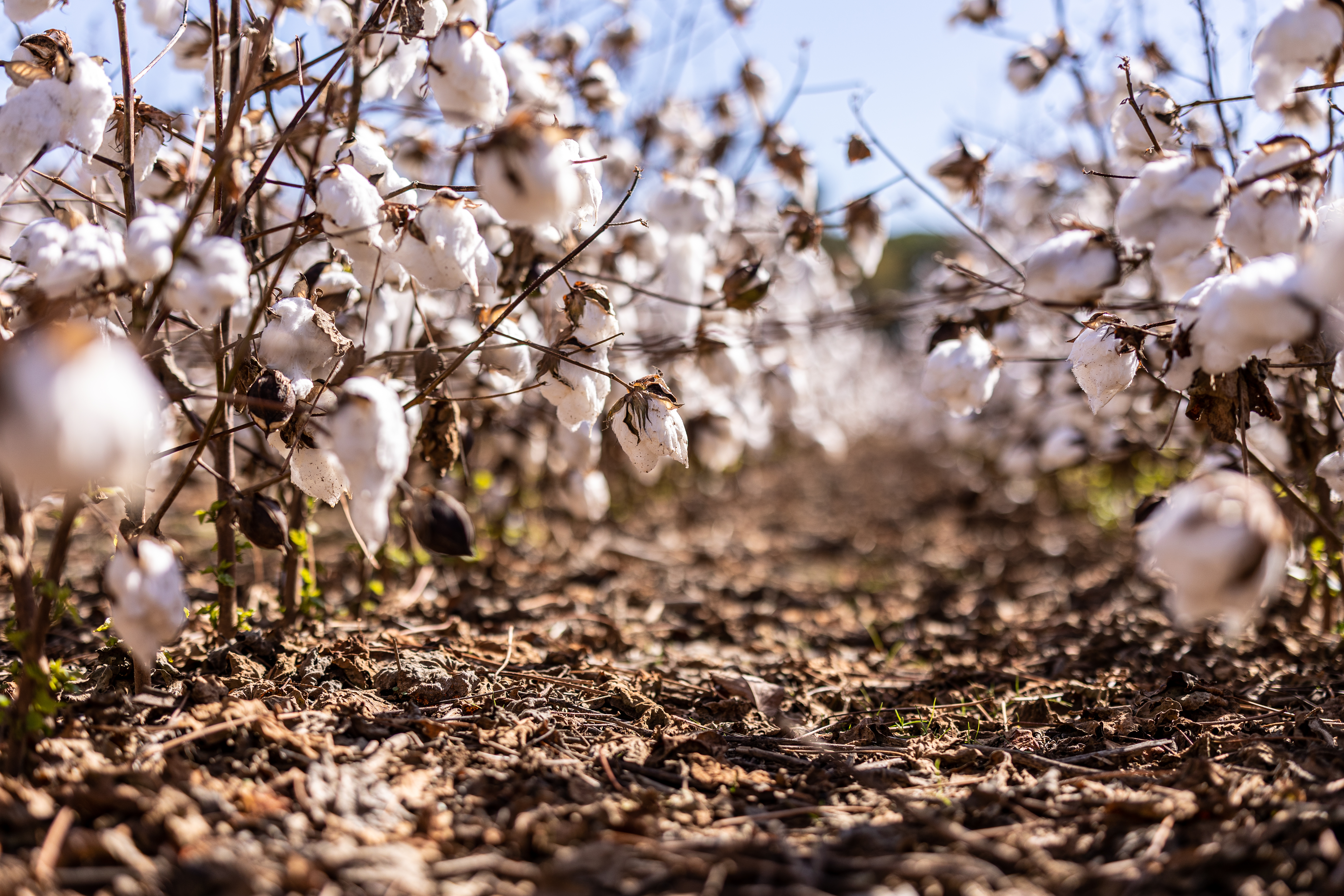 2022 10 13 St TN LOO 274