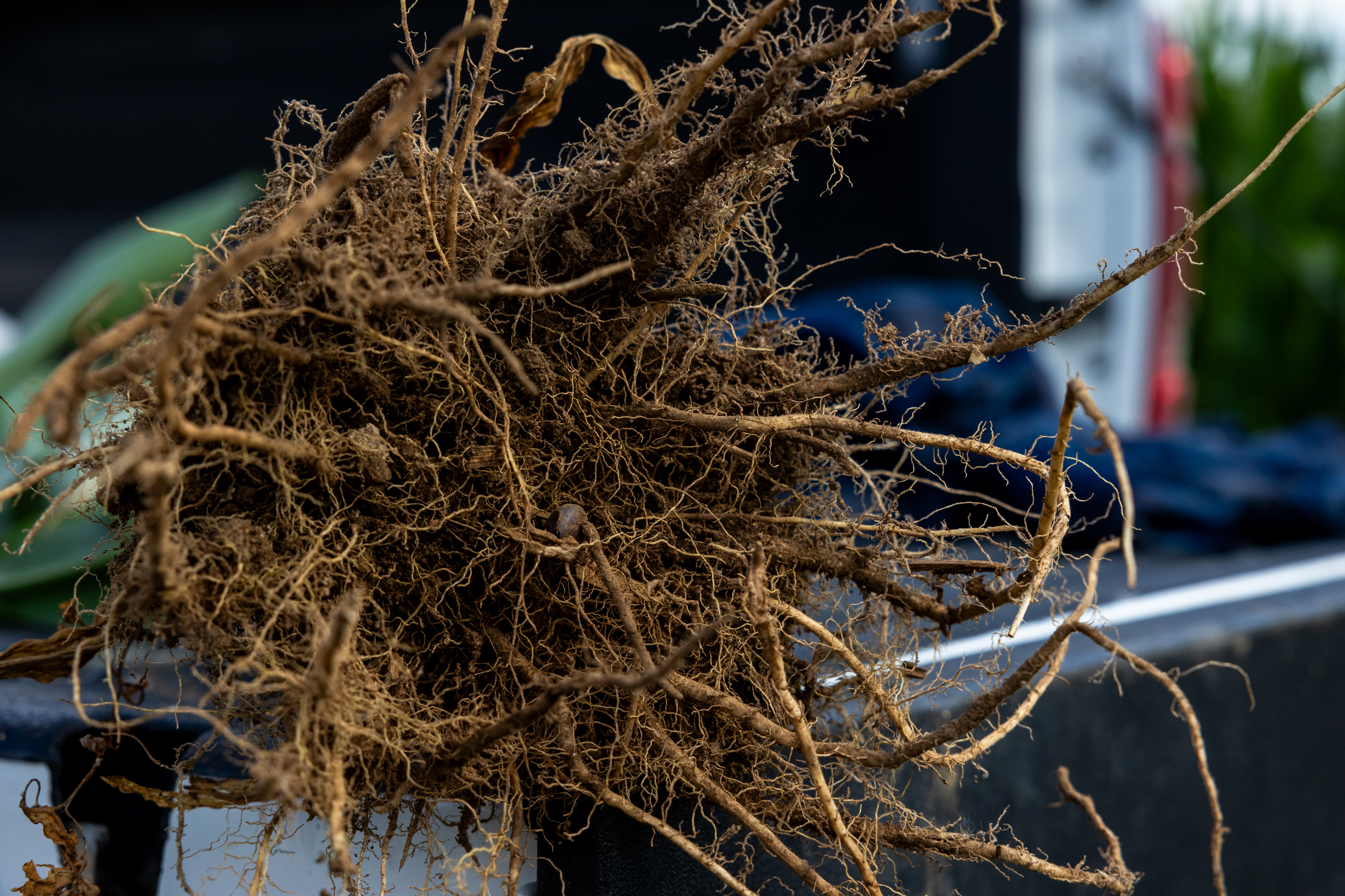 2024 07 17 St WI LOO 148