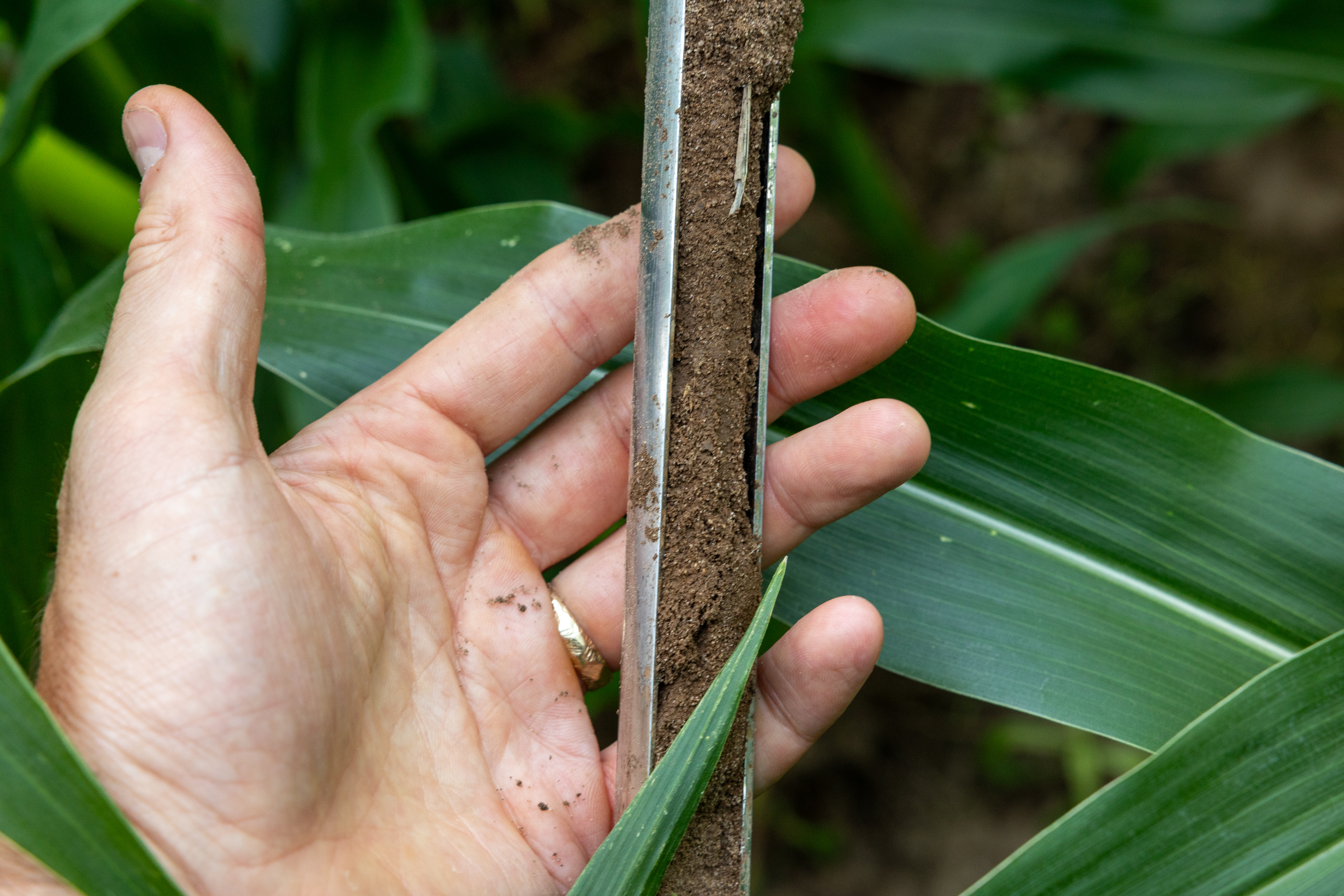 2024 07 17 St WI LOO 186