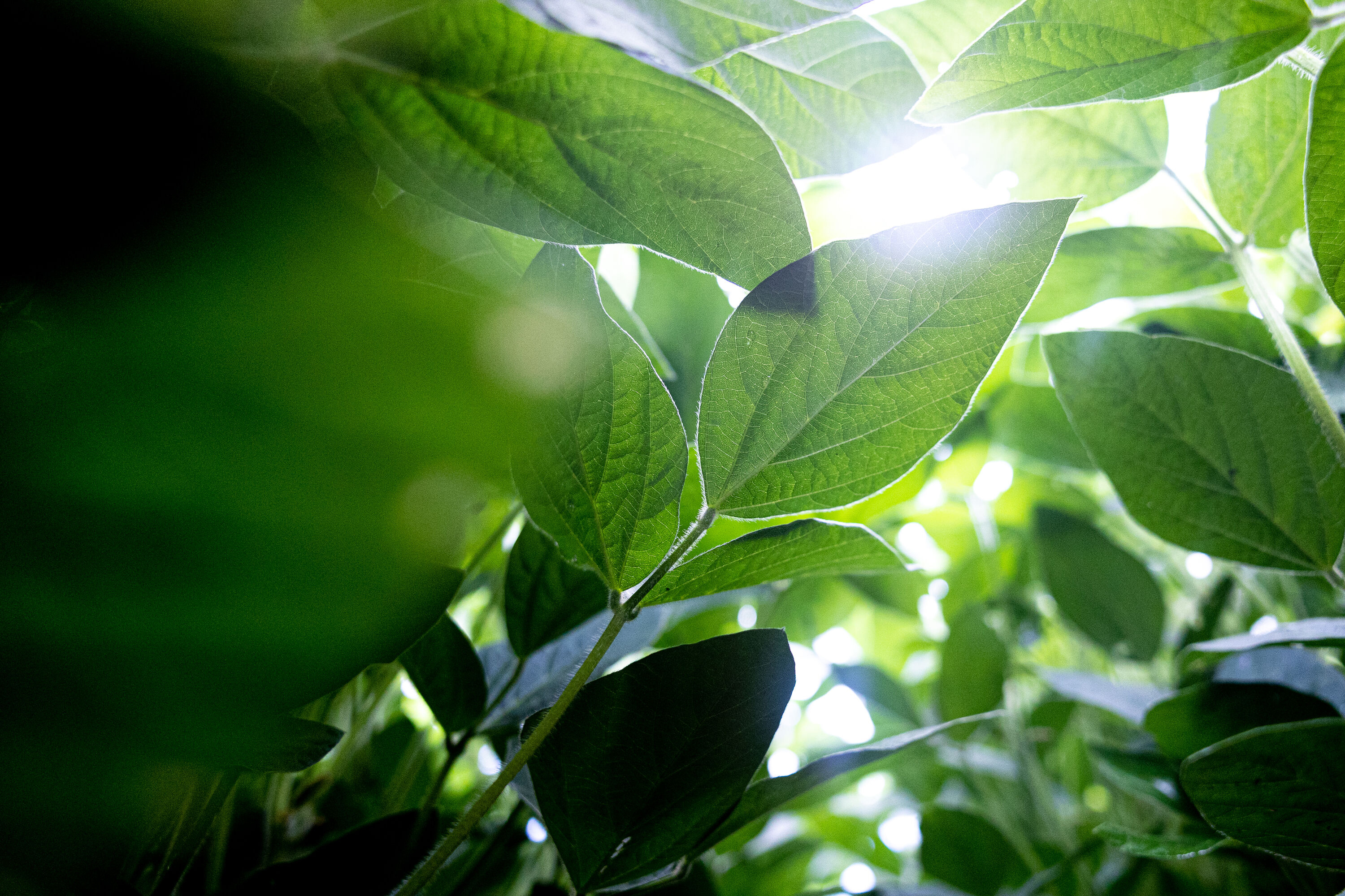 FUNDING ANNOUNCEMENT IMAGE