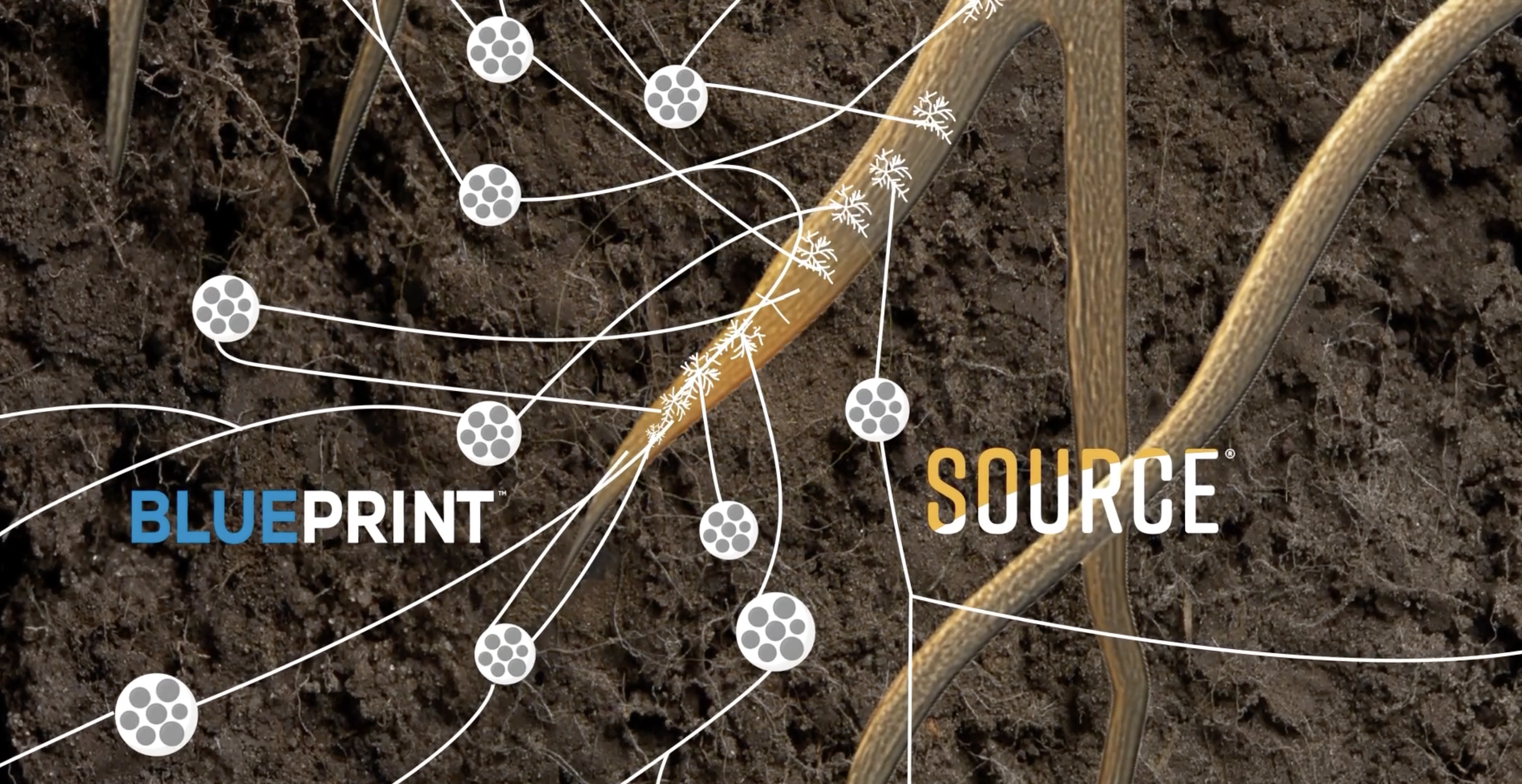 Screenshot 2025 07 21 at 7 38 39 AM