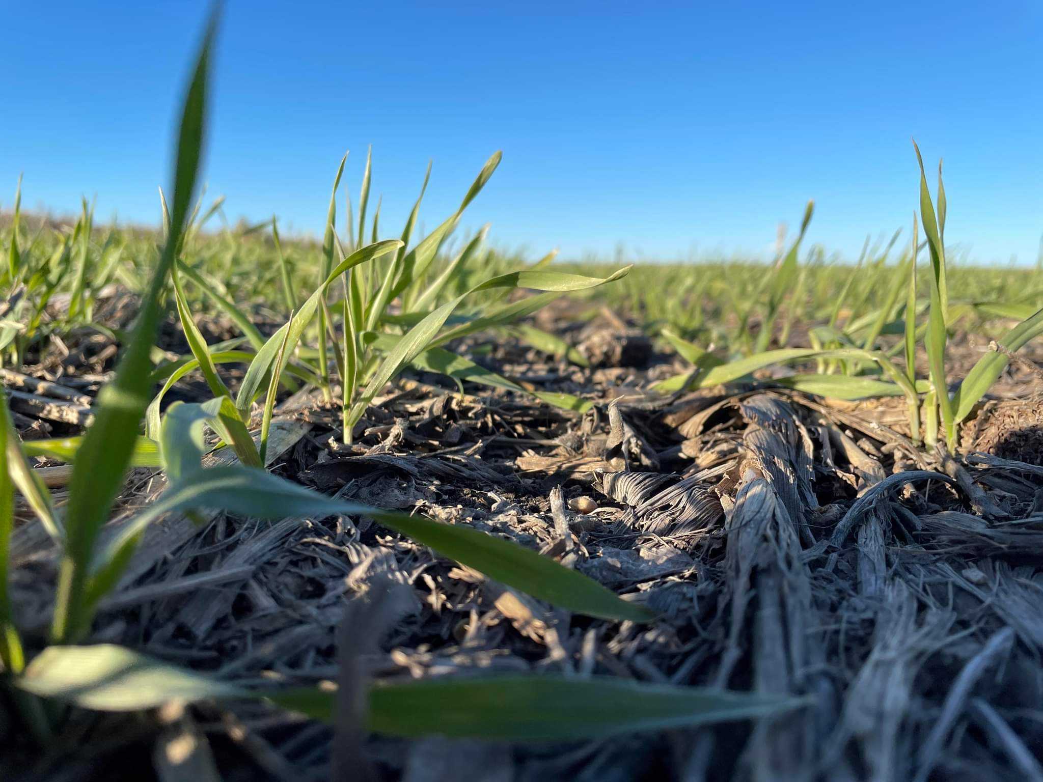 Received 2688570881450779