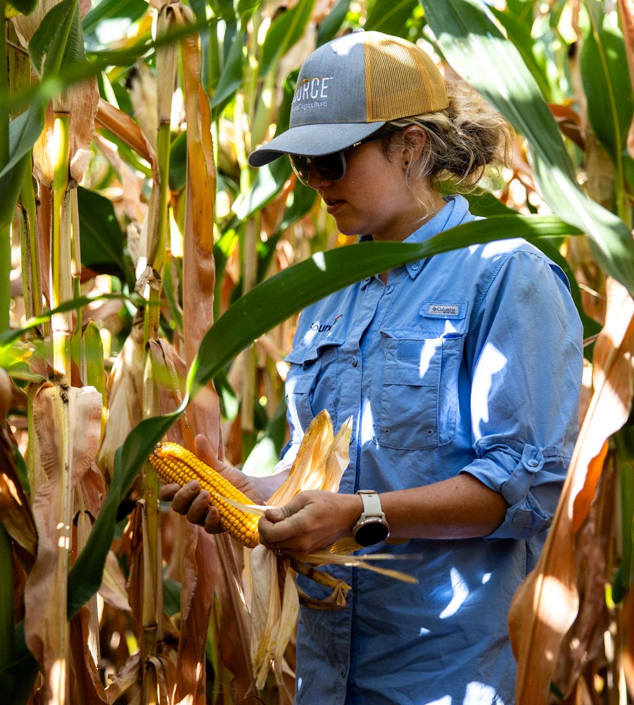 Sustainability | Sound Agriculture