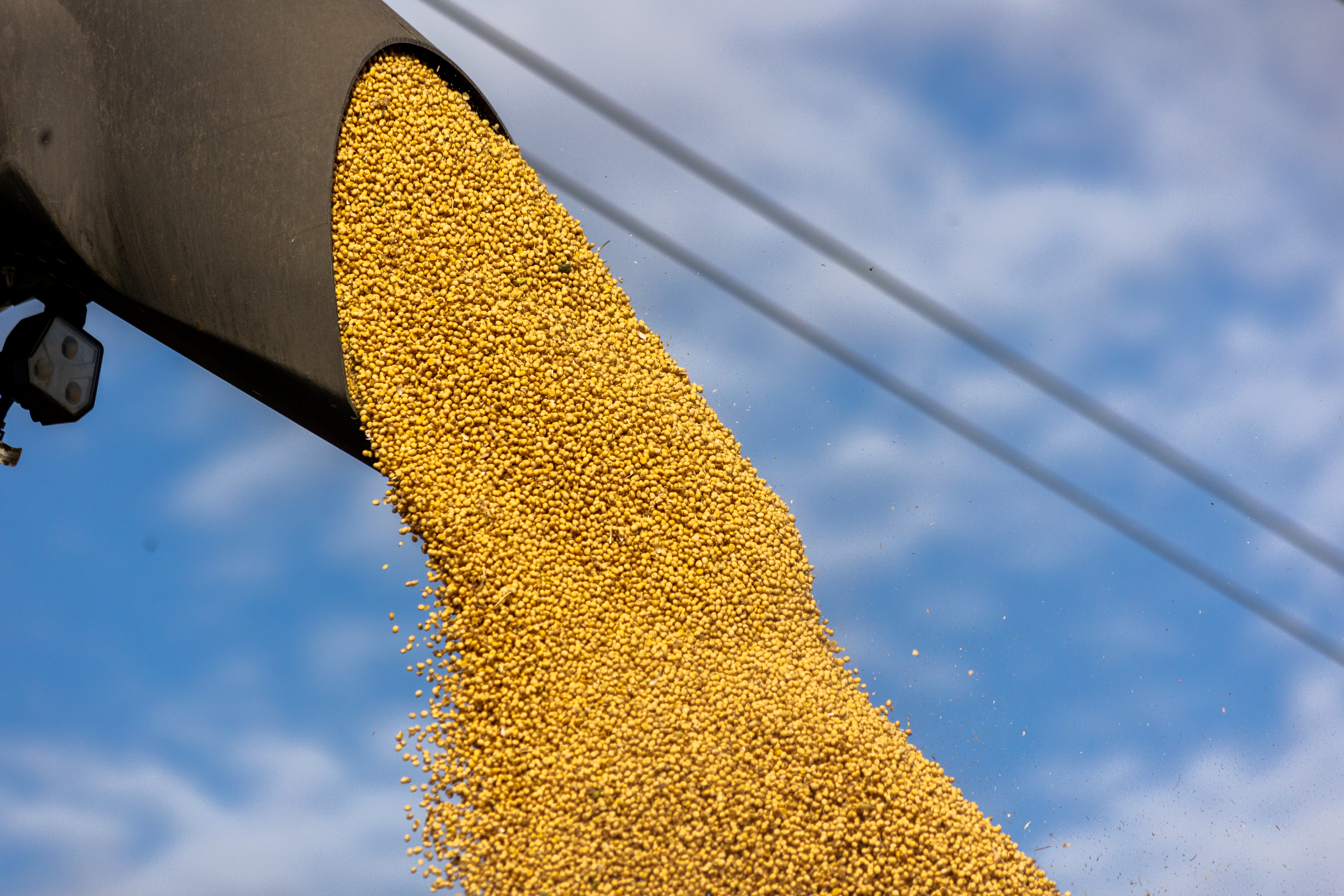 2024 09 25 St IL LOO 1527