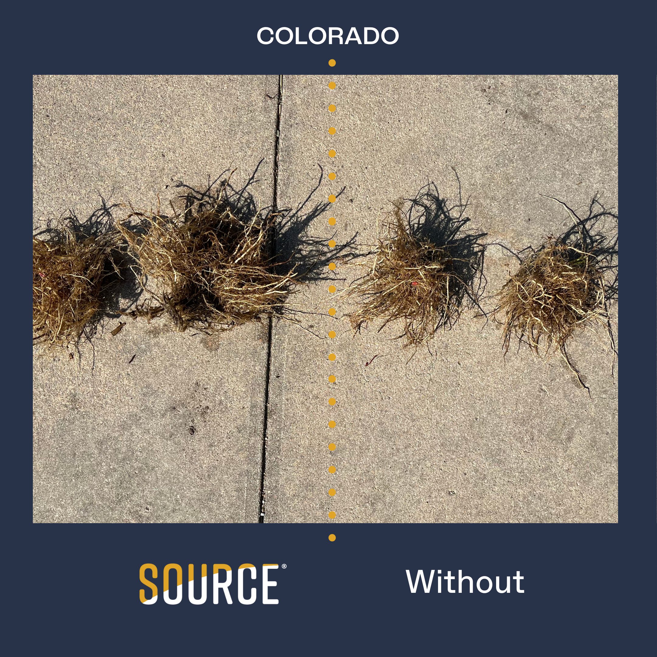COLORADO 2