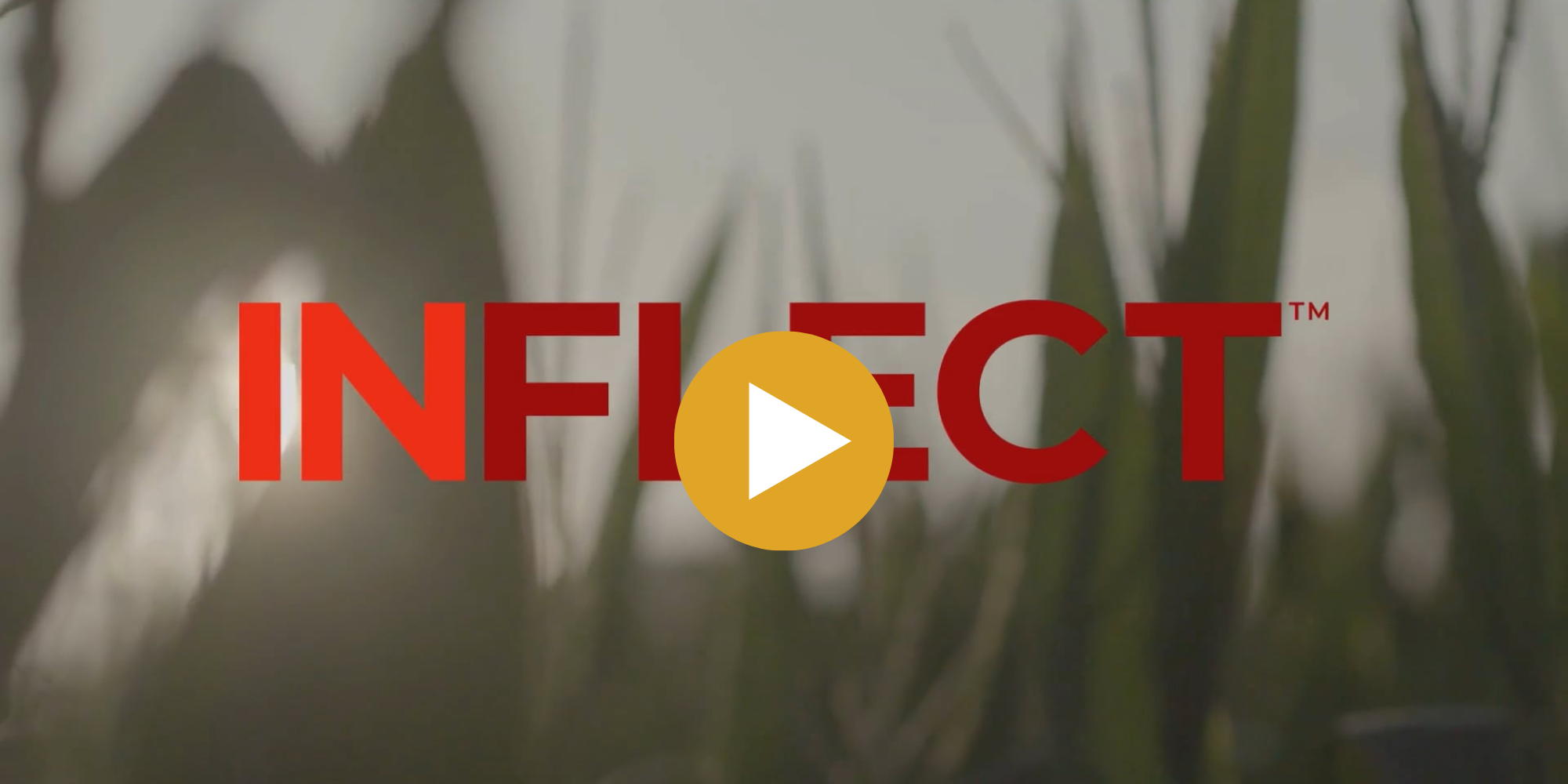 INFLECT MOA Image