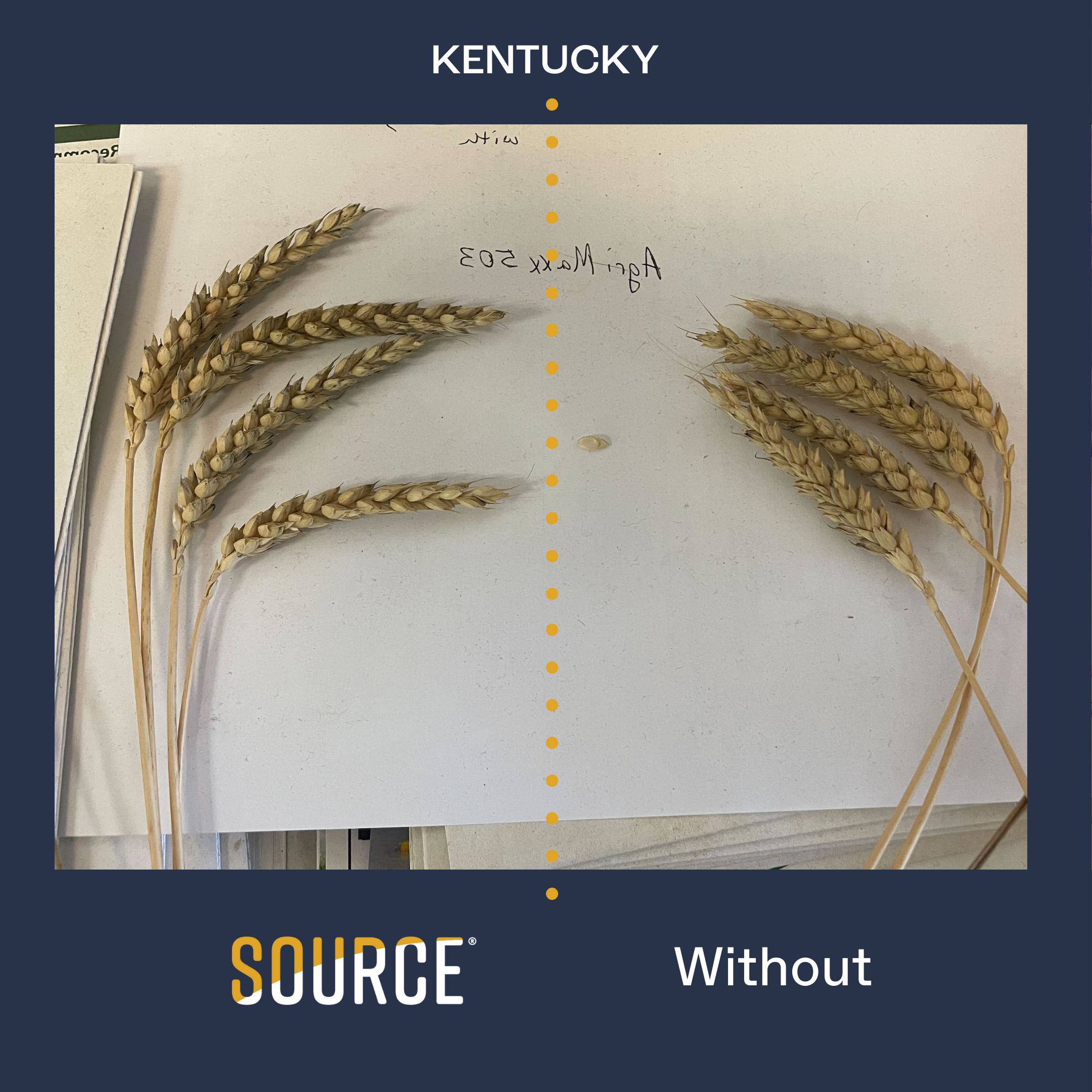 KENTUCKY 4