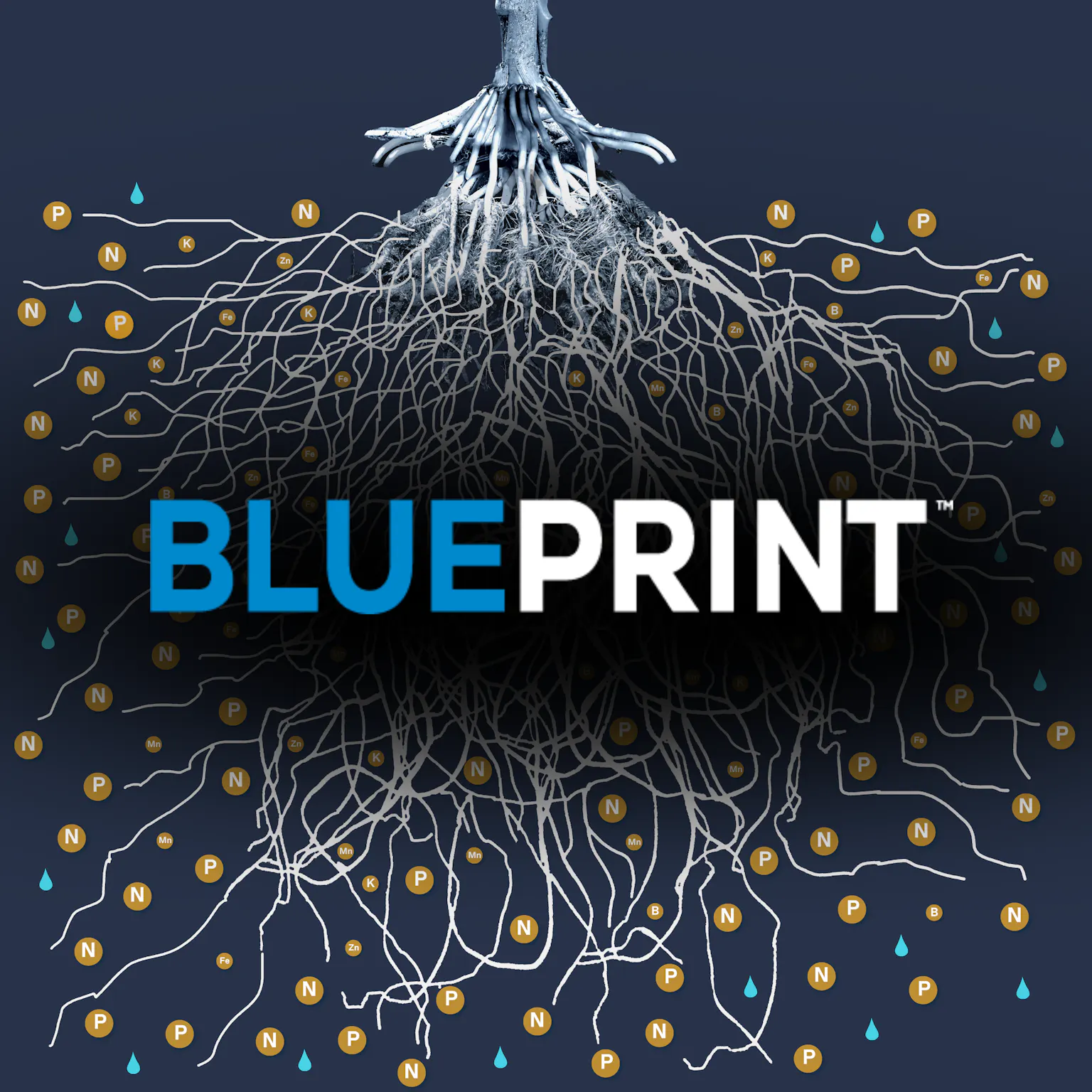 Nature-Based Agriculture Solutions | Sound Agriculture