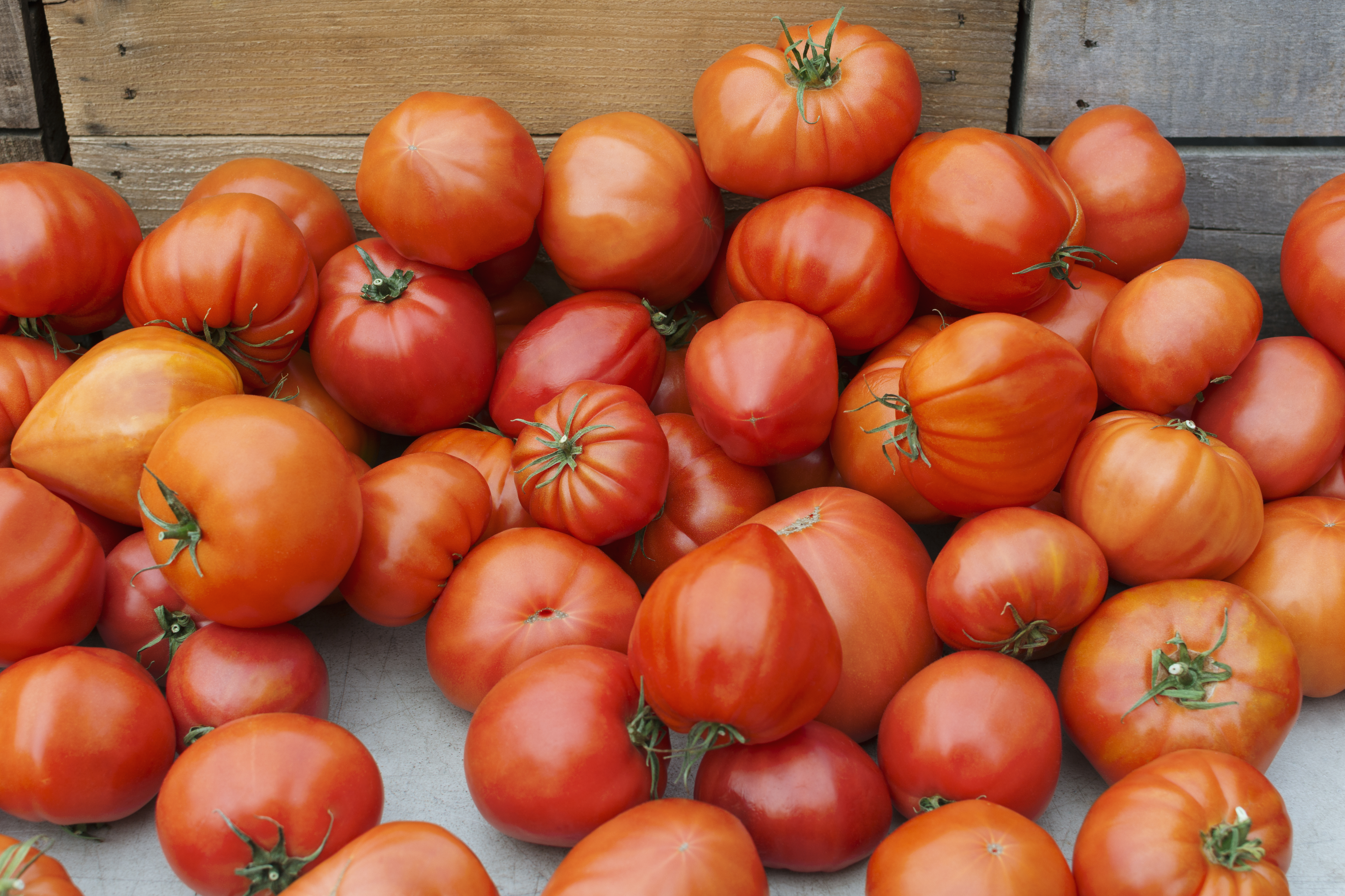 Heirloom tomatoes
