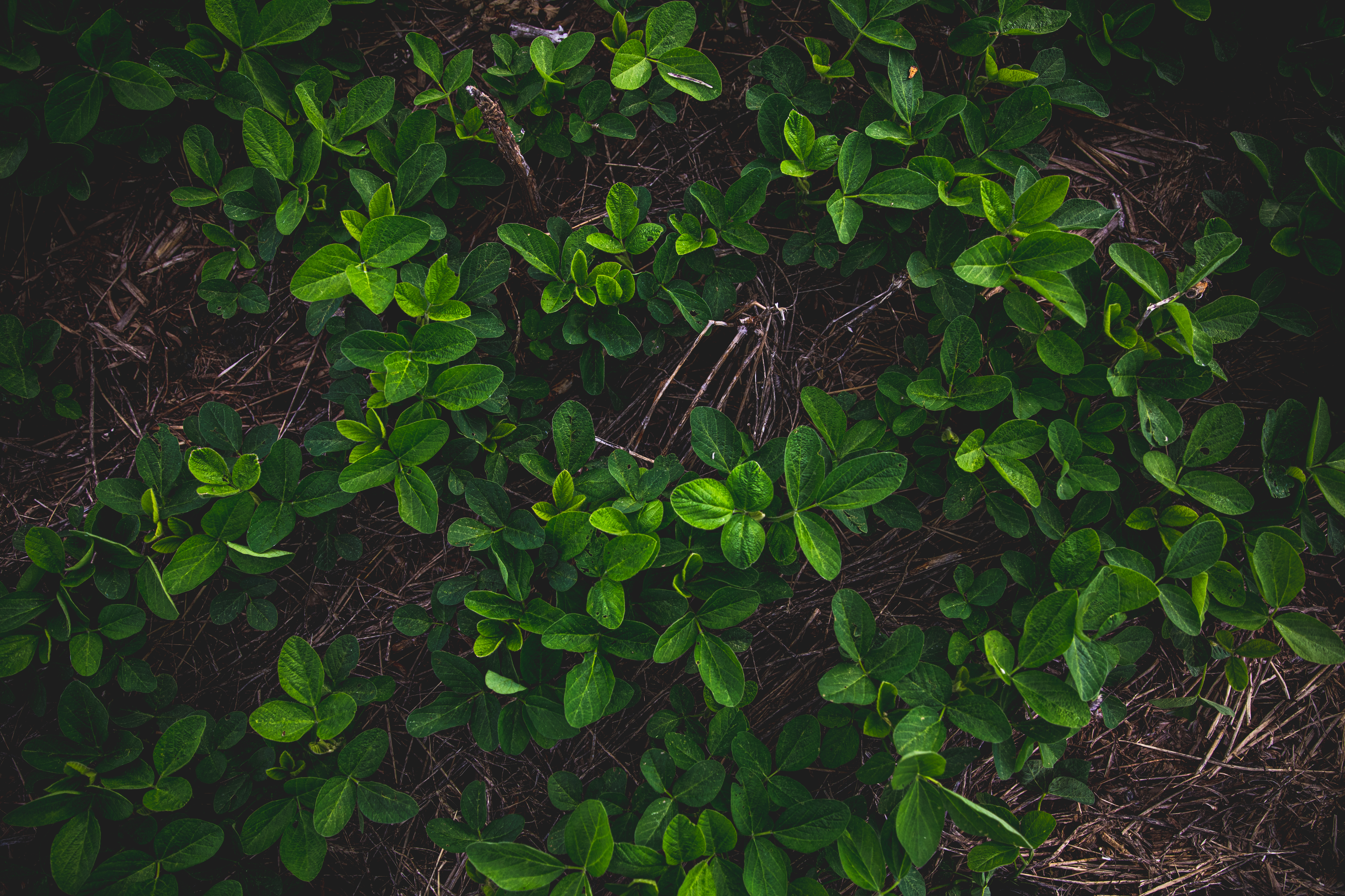 2022 0622 St MD LOO 0557