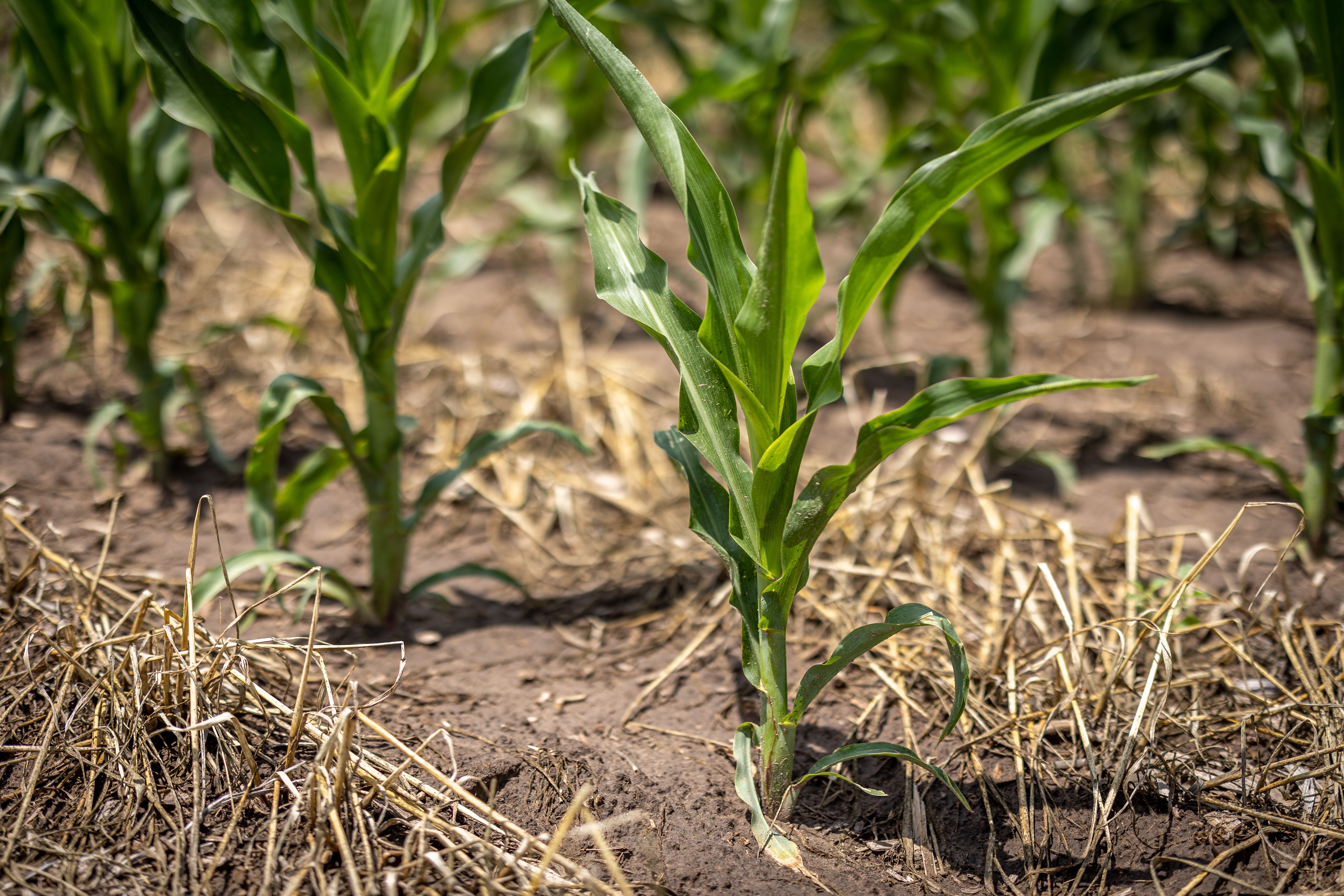 2022 07 06 St NB LOO 1735