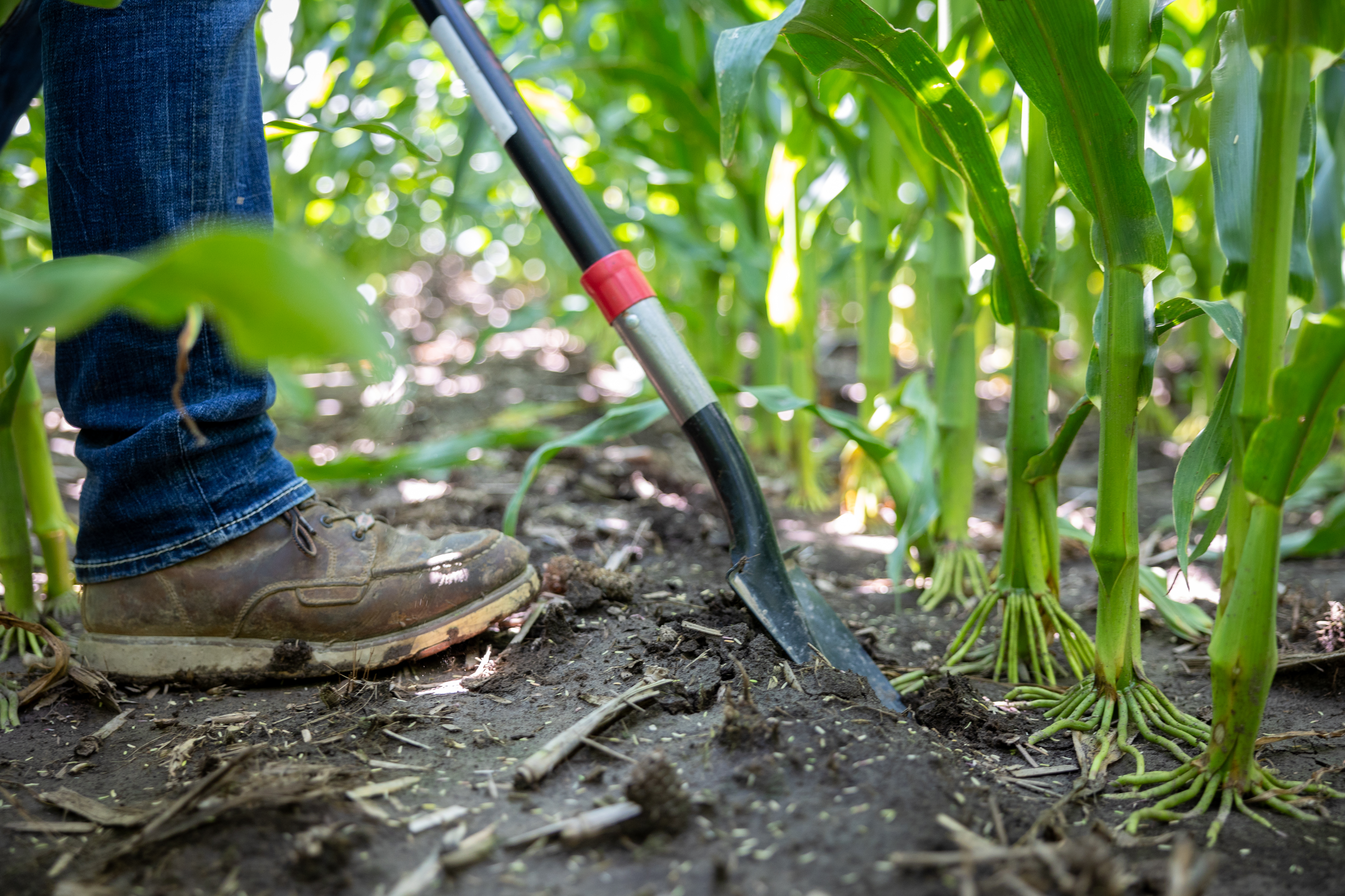 2024 07 17 St WI LOO 006