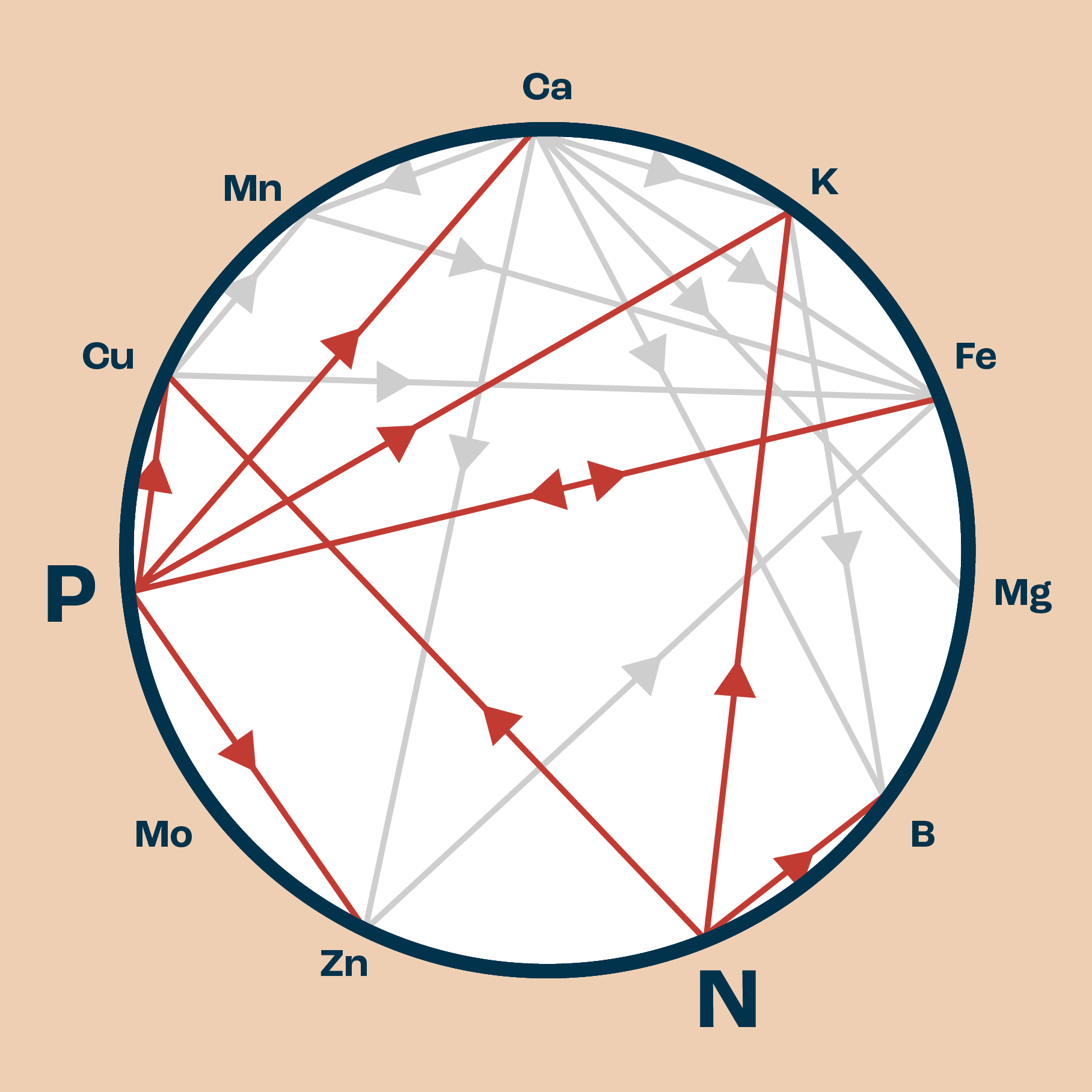 Mulders Micro Nutrient Chart