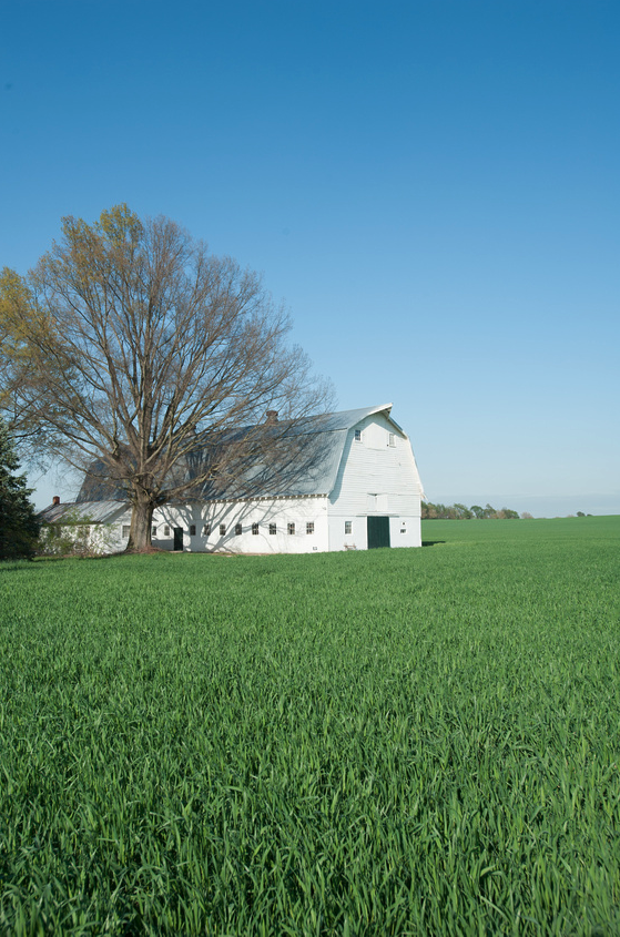 Screen Shot 2021 03 30 at 12 19 29 PM