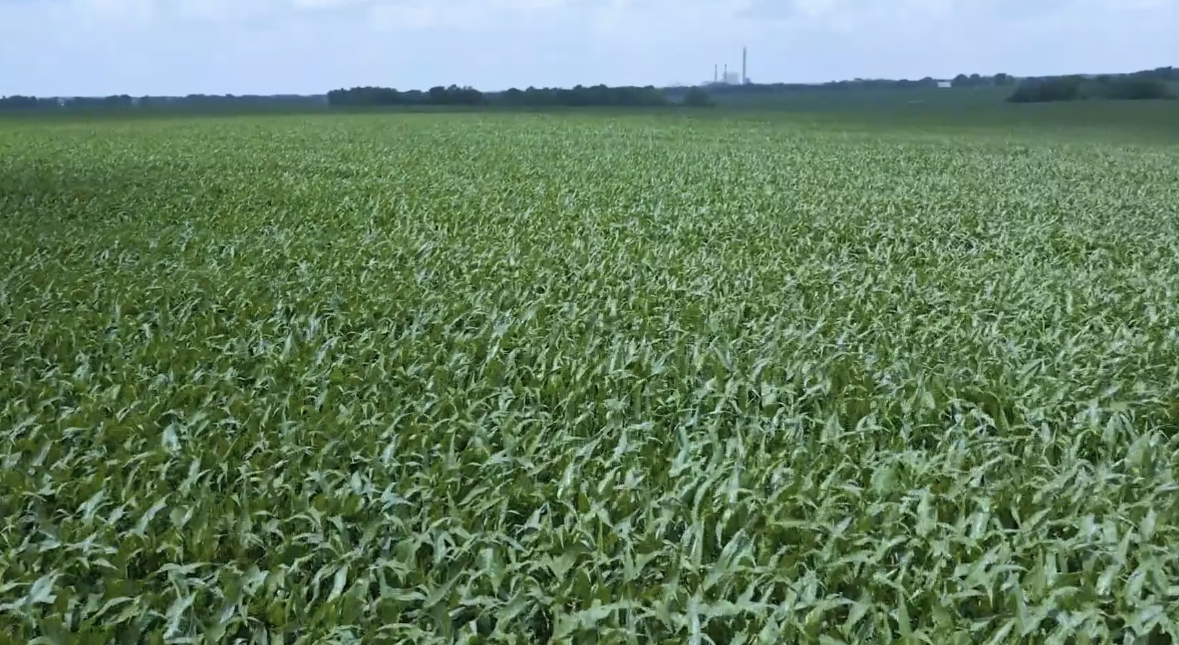 Screenshot 2025 07 21 at 2 30 30 PM